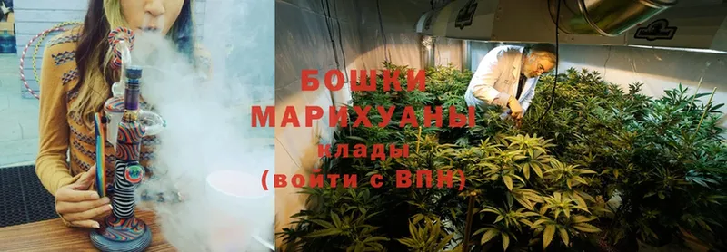 МАРИХУАНА LSD WEED  Жиздра 